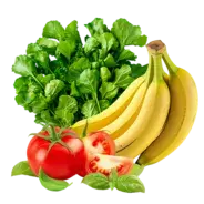 Veggies & Fruits